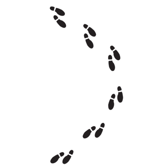 illustration of footprints