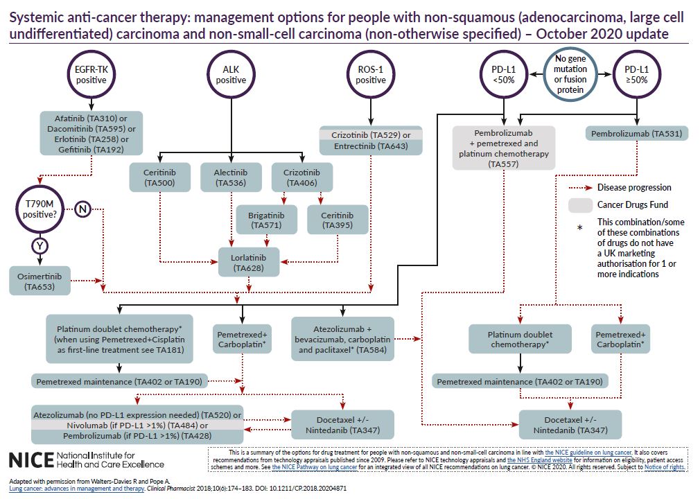 Pathophysiology Of Lung Cancer In Flow Chart