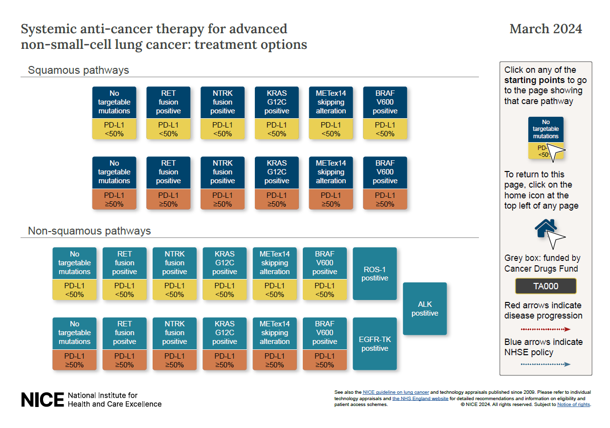 View squamous and non-squamous advanced non-small-cell lung cancer treatment pathways.