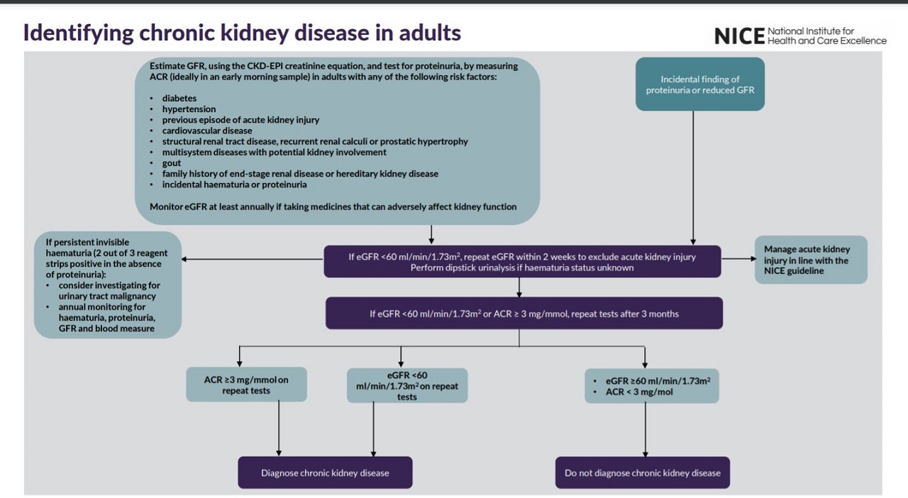 View identifying CKD in adults visual summary
