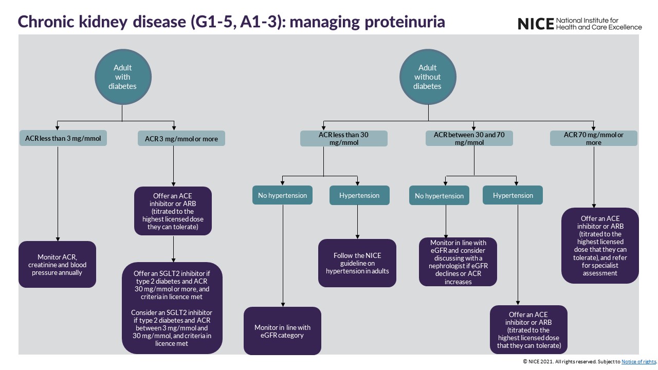 View managing proteinuria visual summary