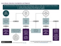 Lyme Disease Chart