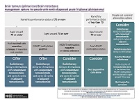 View visual summary