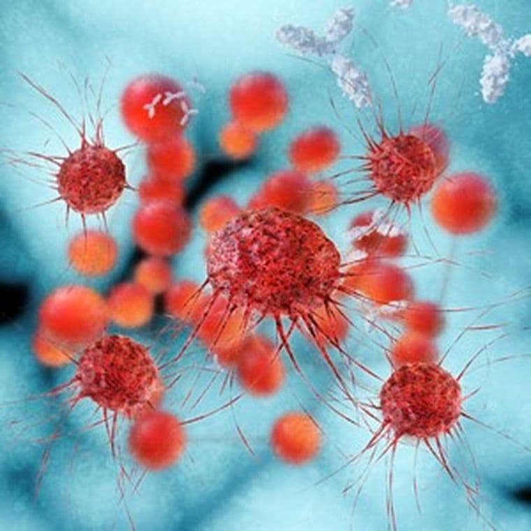 Microscopic images of red breast cancer cells